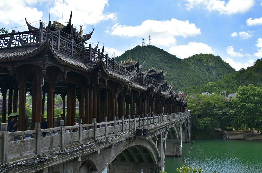 救援鹦鹉